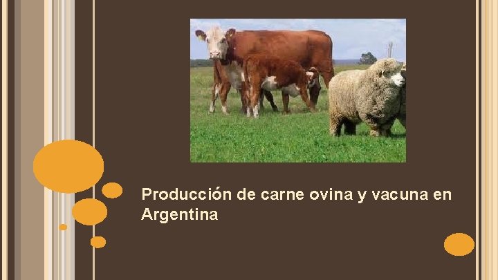 Producción de carne ovina y vacuna en Argentina 