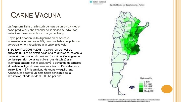 CARNE VACUNA La Argentina tiene una historia de más de un siglo y medio