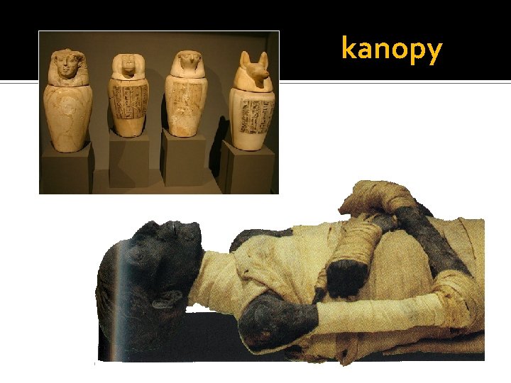 kanopy 