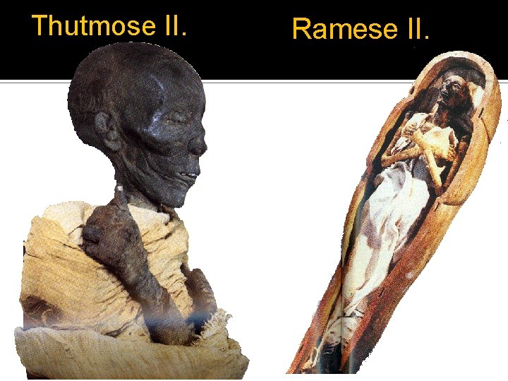 Thutmose II. Ramese II. Thutmose II. Ramese II.