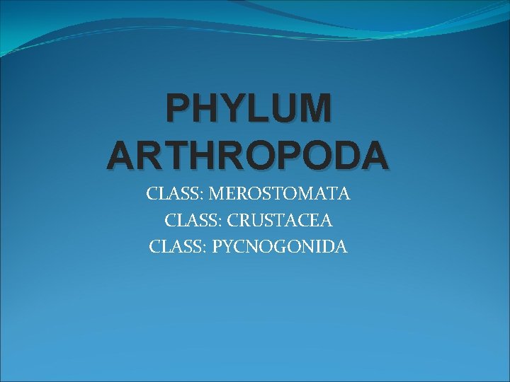 PHYLUM ARTHROPODA CLASS: MEROSTOMATA CLASS: CRUSTACEA CLASS: PYCNOGONIDA 