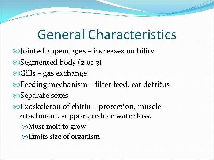 General Characteristics Jointed appendages – increases mobility Segmented body (2 or 3) Gills –