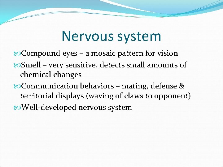 Nervous system Compound eyes – a mosaic pattern for vision Smell – very sensitive,