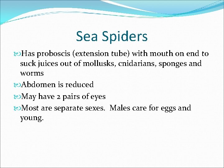 Sea Spiders Has proboscis (extension tube) with mouth on end to suck juices out