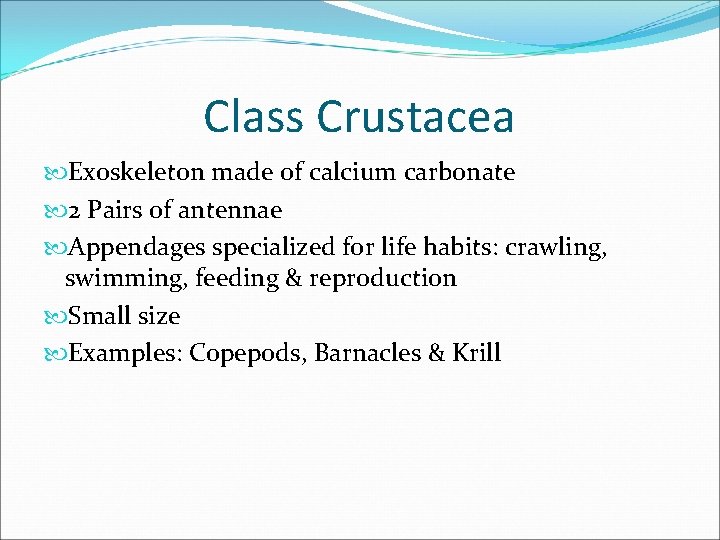 Class Crustacea Exoskeleton made of calcium carbonate 2 Pairs of antennae Appendages specialized for