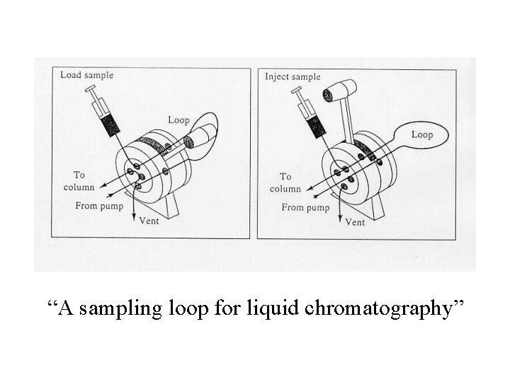“A sampling loop for liquid chromatography” 