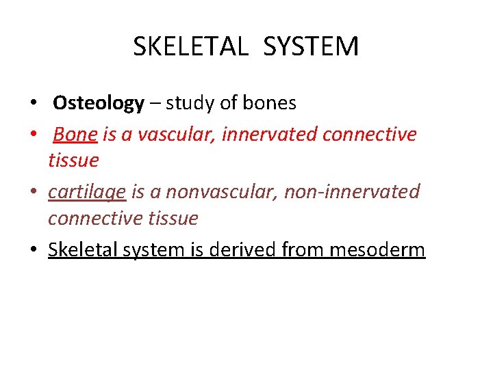 SKELETAL SYSTEM • Osteology – study of bones • Bone is a vascular, innervated
