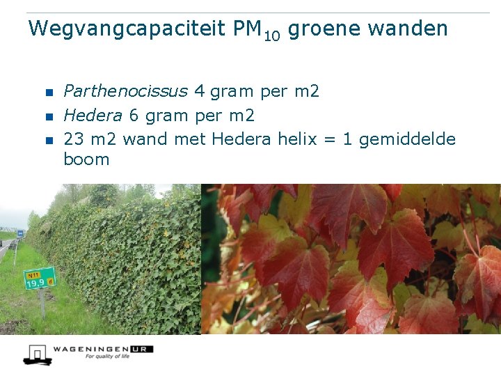 Wegvangcapaciteit PM 10 groene wanden n Parthenocissus 4 gram per m 2 Hedera 6