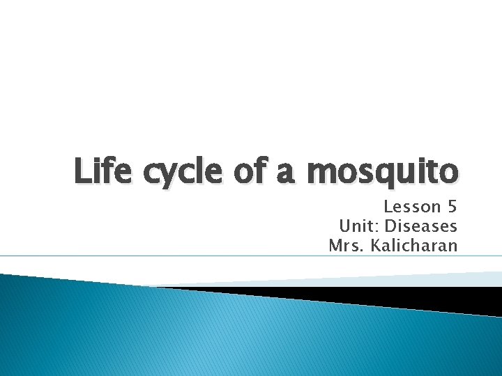 Life cycle of a mosquito Lesson 5 Unit: Diseases Mrs. Kalicharan 