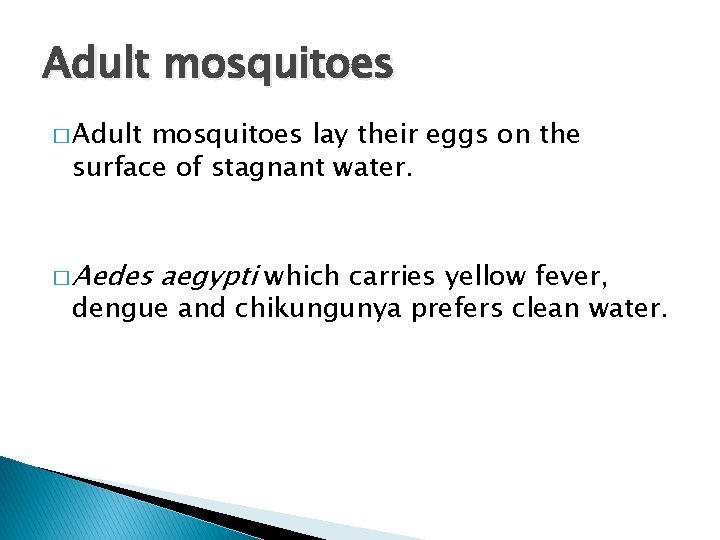 Adult mosquitoes � Adult mosquitoes lay their eggs on the surface of stagnant water.