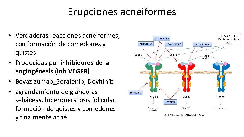 Erupciones acneiformes • Verdaderas reacciones acneiformes, con formación de comedones y quistes • Producidas