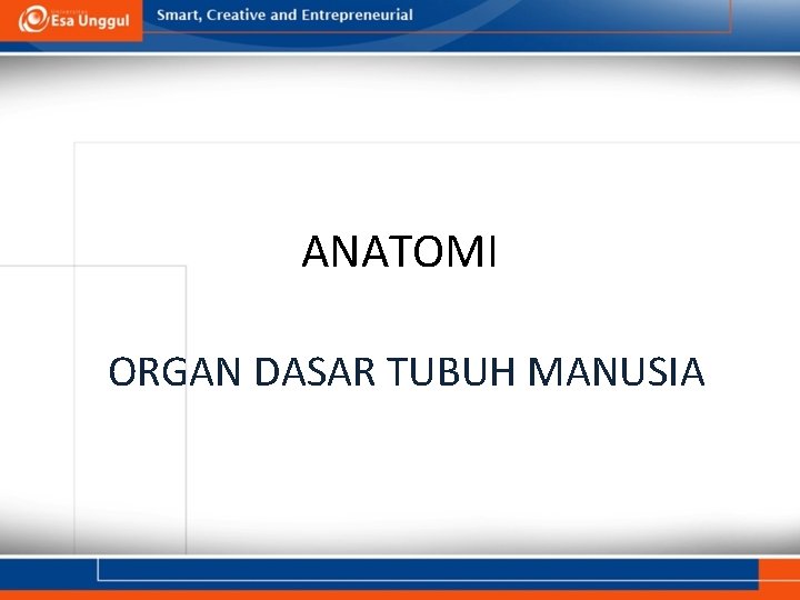 ANATOMI ORGAN DASAR TUBUH MANUSIA 