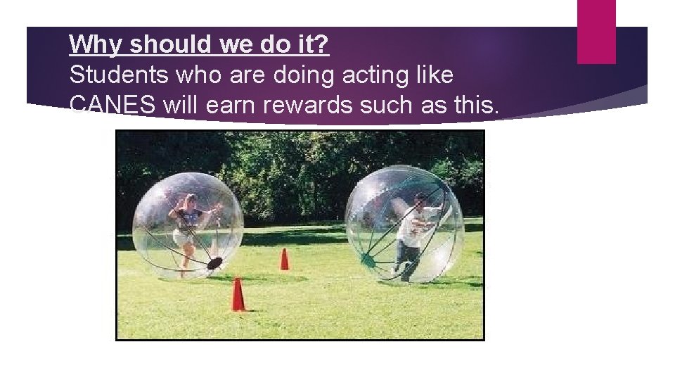 Why should we do it? Students who are doing acting like CANES will earn