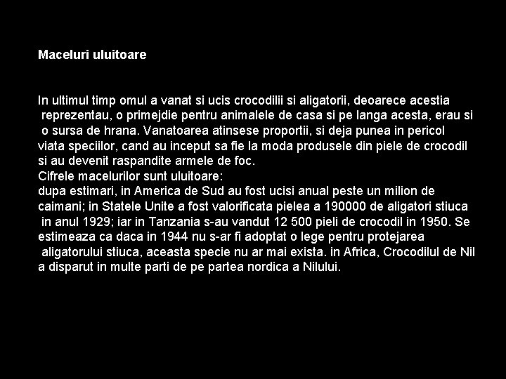 Maceluri uluitoare In ultimul timp omul a vanat si ucis crocodilii si aligatorii, deoarece