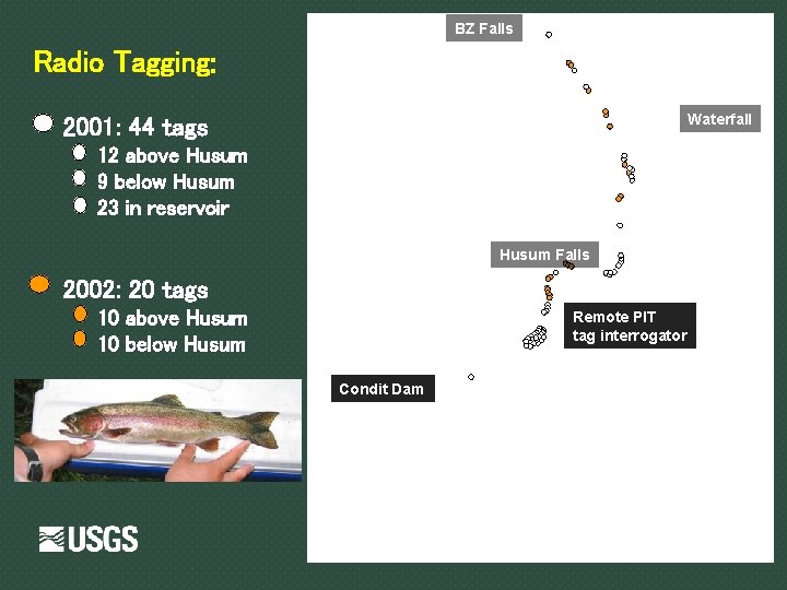 BZ Falls Radio Tagging: § Waterfall 2001: 44 tags § § § 12 above