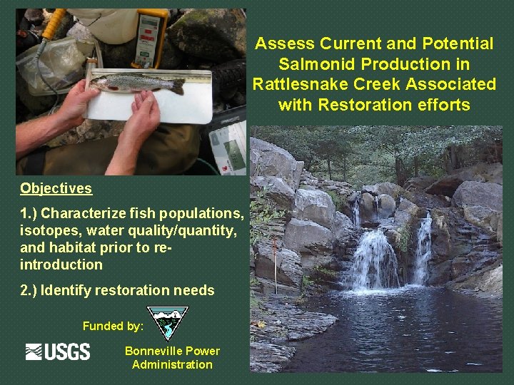 Assess Current and Potential Salmonid Production in Rattlesnake Creek Associated with Restoration efforts Objectives