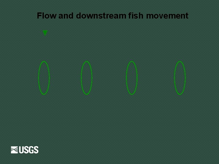 Flow and downstream fish movement 