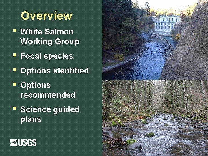 Overview § White Salmon Working Group § § § Focal species § Science guided