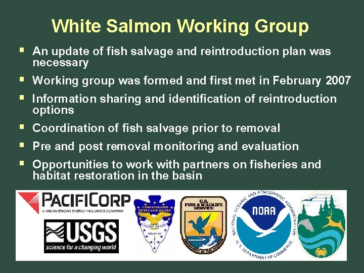 White Salmon Working Group § An update of fish salvage and reintroduction plan was