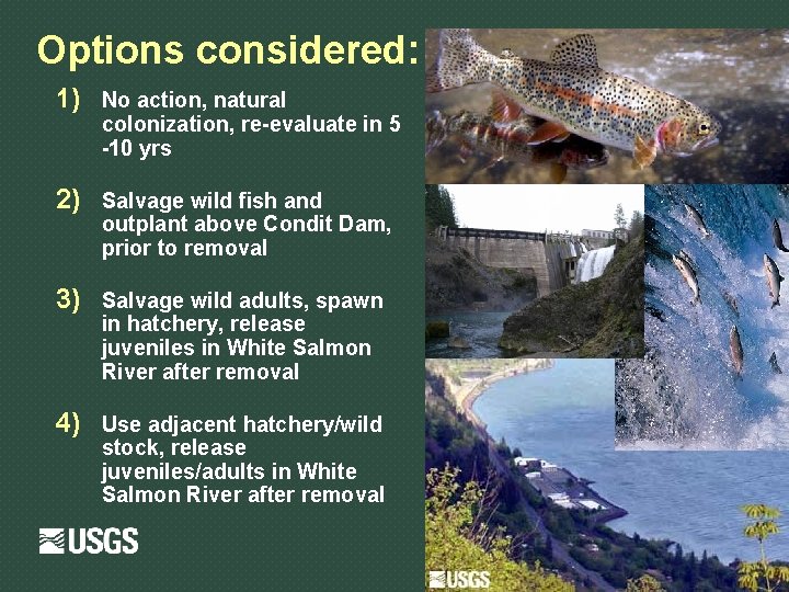 Options considered: 1) No action, natural colonization, re-evaluate in 5 -10 yrs 2) Salvage