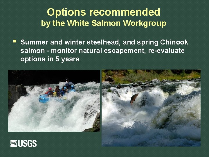 Options recommended by the White Salmon Workgroup § Summer and winter steelhead, and spring