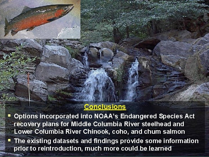 Conclusions § § Options incorporated into NOAA’s Endangered Species Act recovery plans for Middle