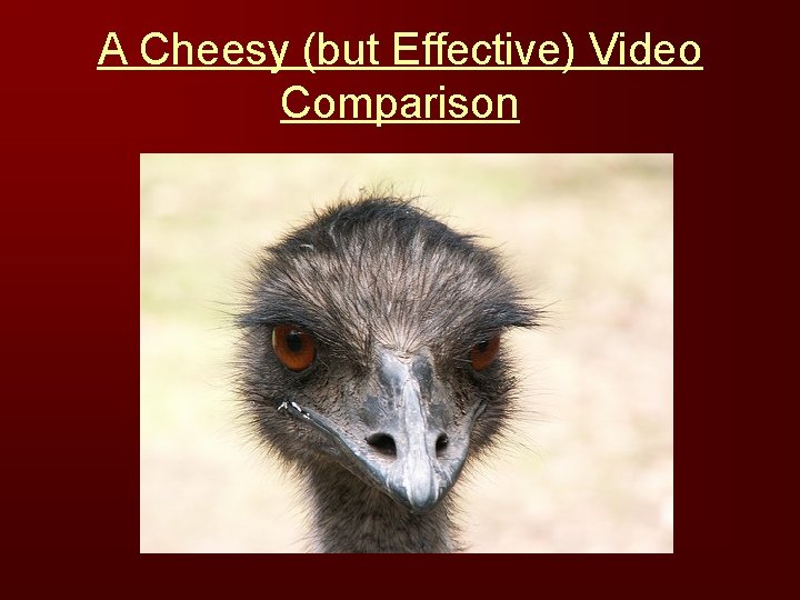 A Cheesy (but Effective) Video Comparison 