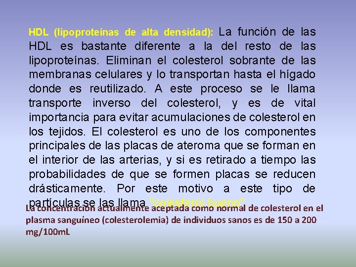 La función de las HDL es bastante diferente a la del resto de las