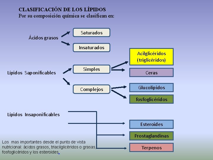 CLASIFICACIÓN DE LOS LÍPIDOS Por su composición química se clasifican en: Ácidos grasos Saturados