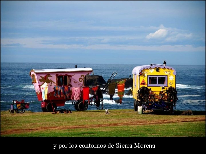 y por los contornos de Sierra Morena 