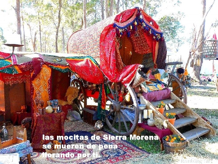 las mocitas de Sierra Morena se mueren de pena llorando por ti. 