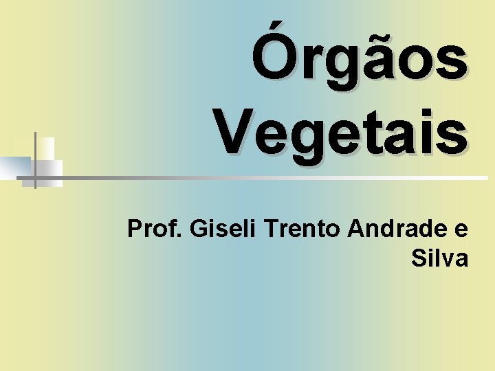 Órgãos Vegetais Prof. Giseli Trento Andrade e Silva 