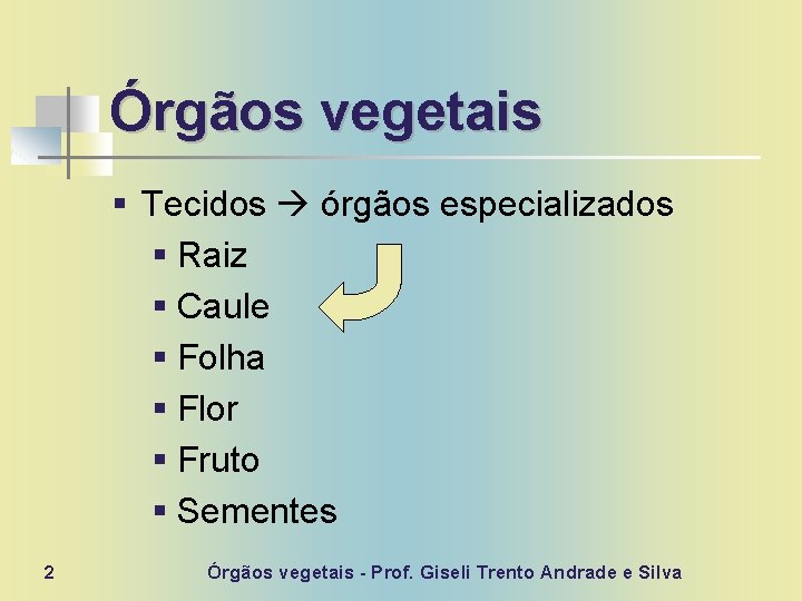 Órgãos vegetais § Tecidos órgãos especializados § Raiz § Caule § Folha § Flor
