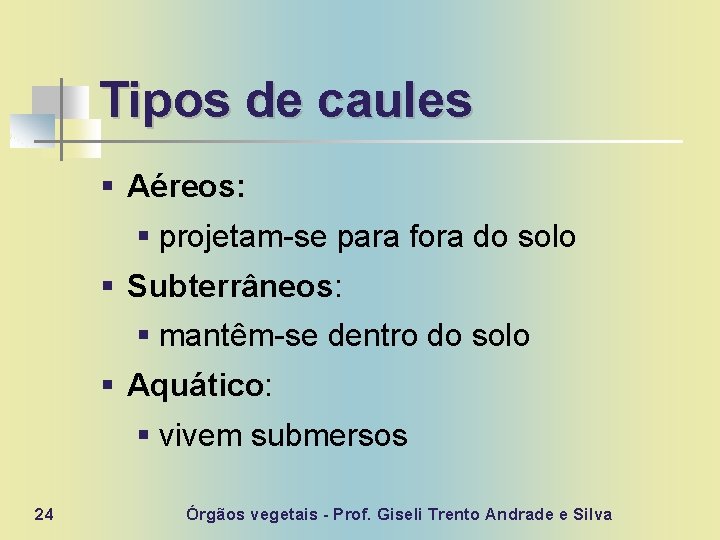 Tipos de caules § Aéreos: § projetam-se para fora do solo § Subterrâneos: §