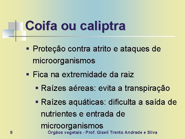 Coifa ou caliptra § Proteção contra atrito e ataques de microorganismos § Fica na