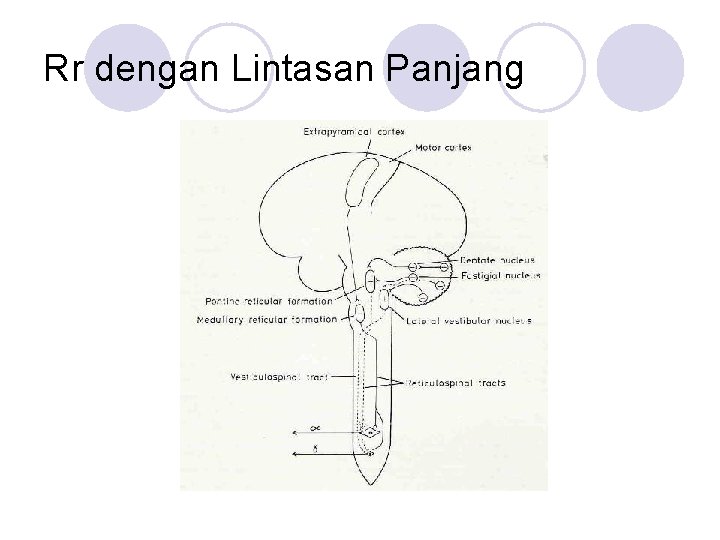 Rr dengan Lintasan Panjang 