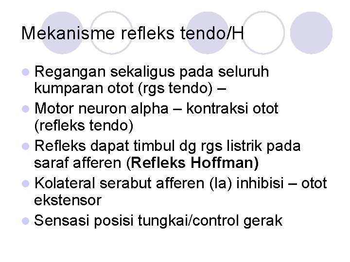Mekanisme refleks tendo/H l Regangan sekaligus pada seluruh kumparan otot (rgs tendo) – l