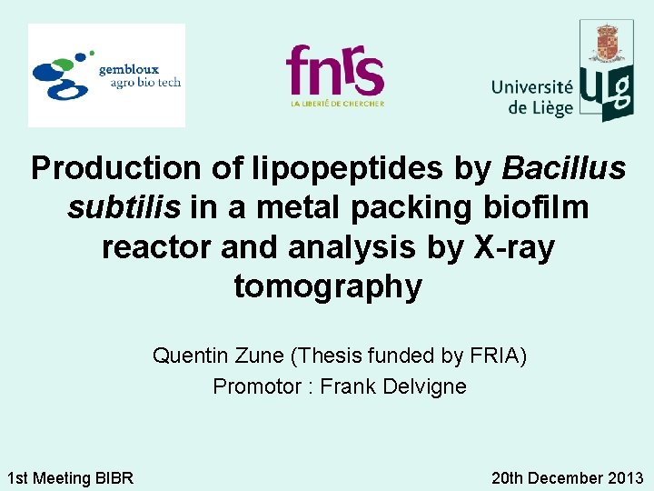 Production of lipopeptides by Bacillus subtilis in a metal packing biofilm reactor and analysis