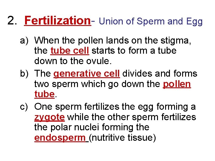 2. Fertilization- Union of Sperm and Egg a) When the pollen lands on the