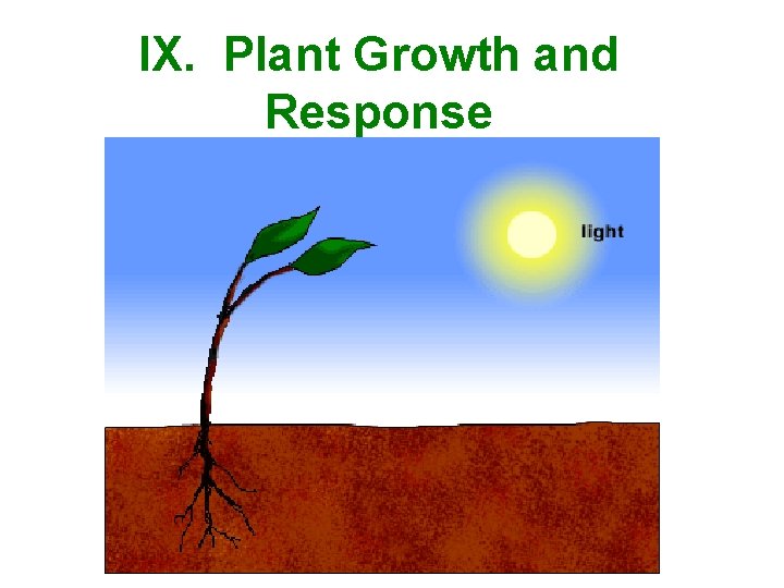 IX. Plant Growth and Response 