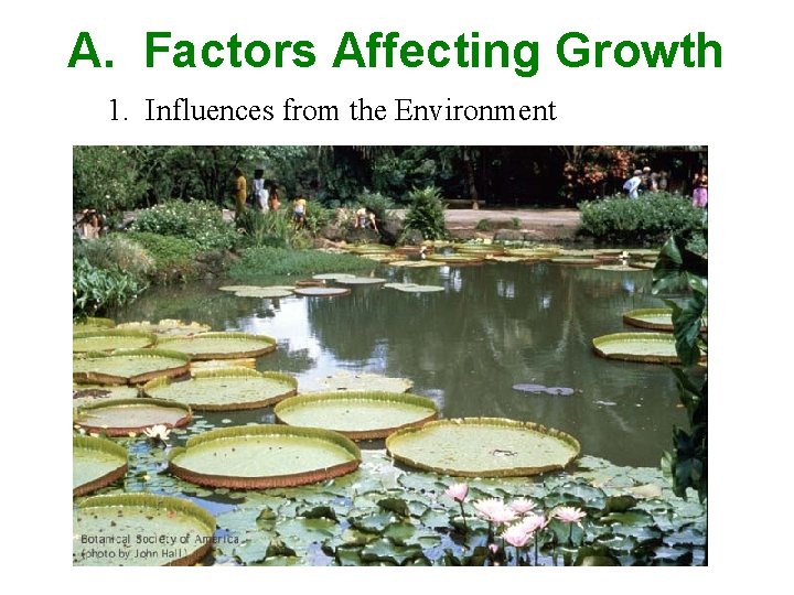 A. Factors Affecting Growth 1. Influences from the Environment 