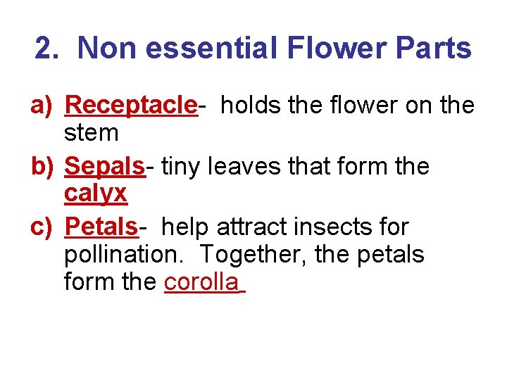 2. Non essential Flower Parts a) Receptacle- holds the flower on the stem b)