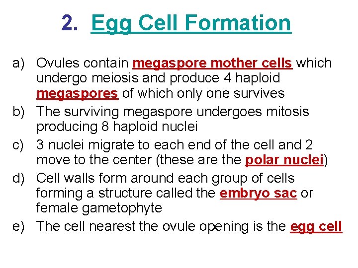 2. Egg Cell Formation a) Ovules contain megaspore mother cells which undergo meiosis and