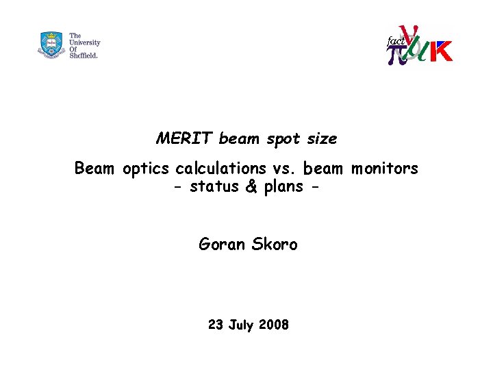 MERIT beam spot size Beam optics calculations vs. beam monitors - status & plans
