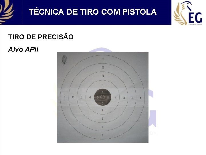 TÉCNICA DE TIRO COM PISTOLA TIRO DE PRECISÃO Alvo APII 