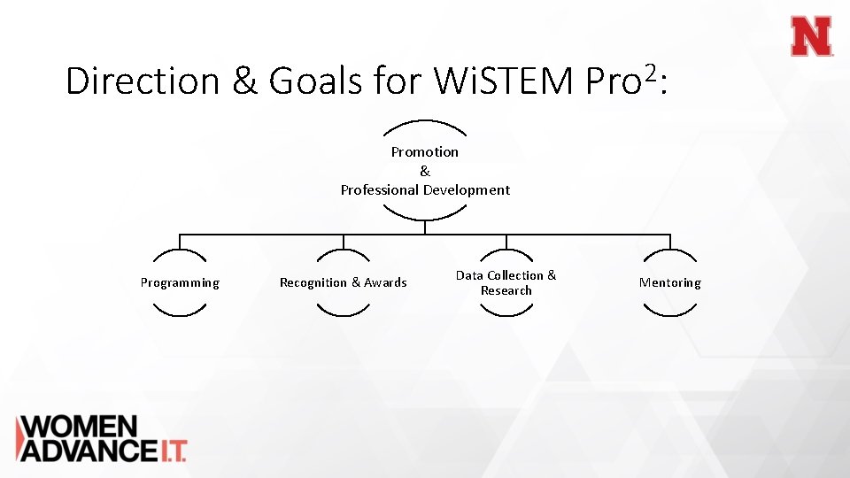 Direction & Goals for Wi. STEM 2 Pro : Promotion & Professional Development Programming
