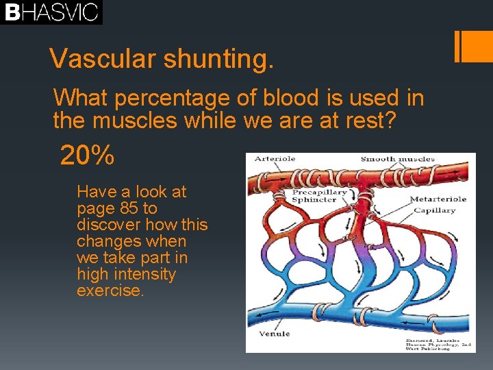 Vascular shunting. What percentage of blood is used in the muscles while we are