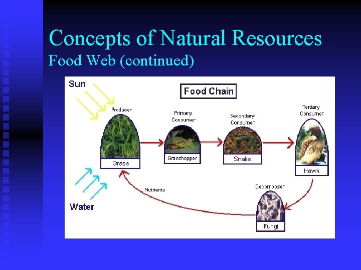 Concepts of Natural Resources Food Web (continued) 