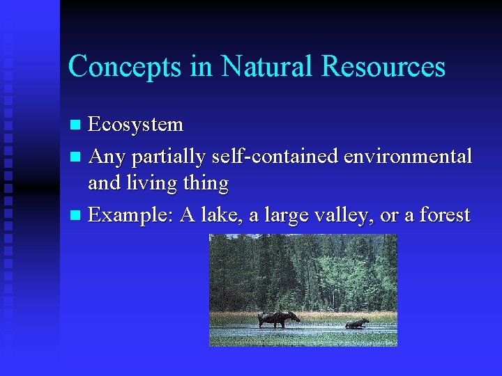 Concepts in Natural Resources Ecosystem n Any partially self-contained environmental and living thing n