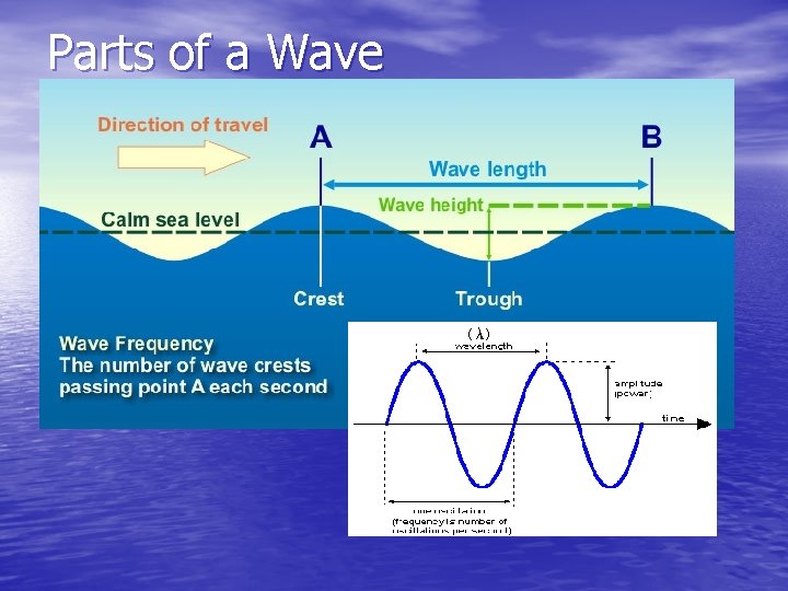 Parts of a Wave Parts of a Wave